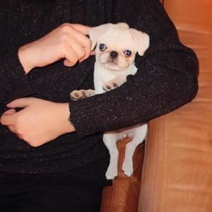 Meet your Posher, Anthony